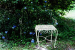 nature5 by LexiSinphotography