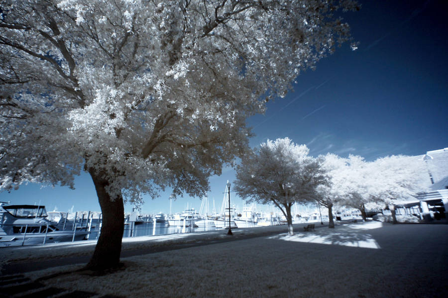 New Bern IR I by LDFranklin
