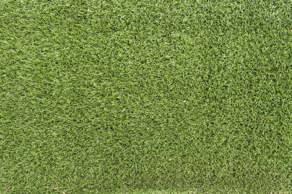 Grass Texture 02 by SimoonMurray