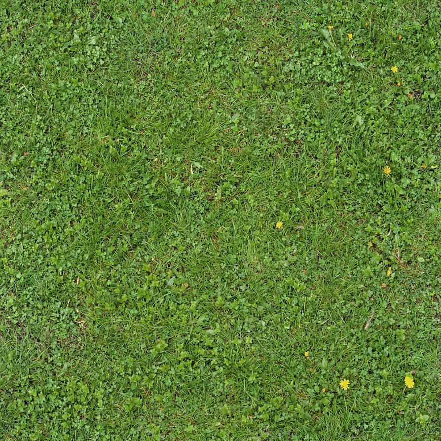 Seamless Green Grass Texture 01 by SimoonMurray