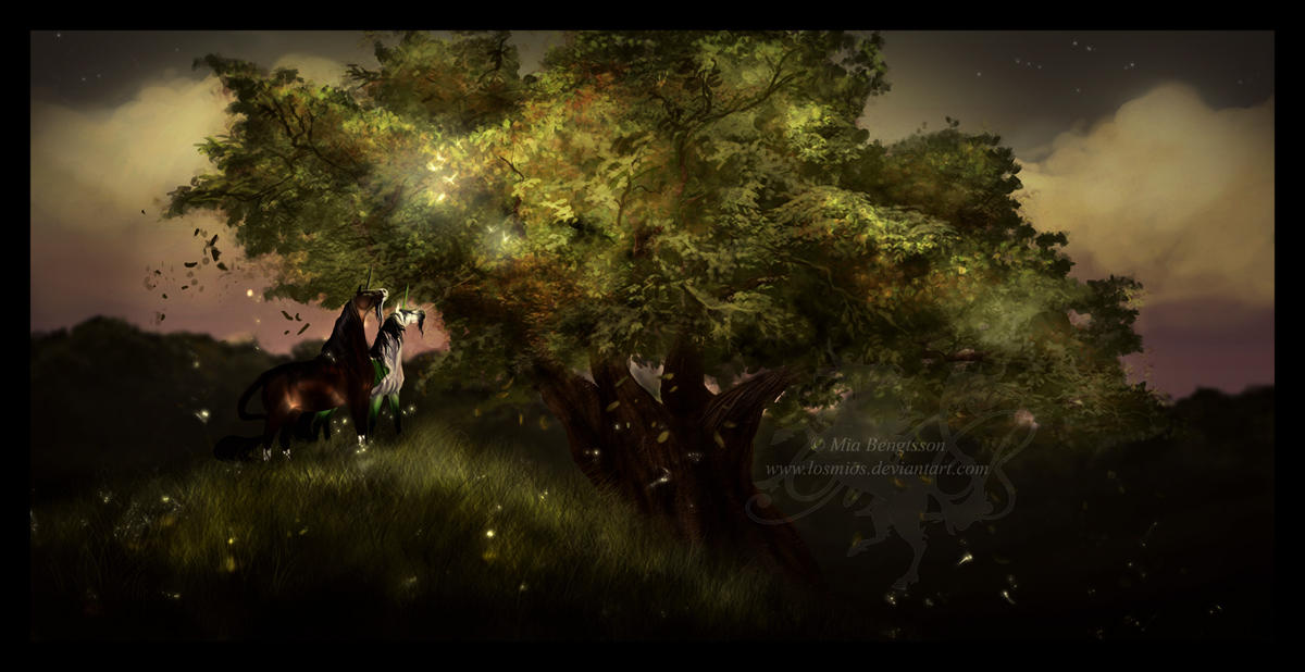 A Summernight Serenade by Losmios