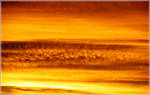 Yellow Sun by VasiDgallery