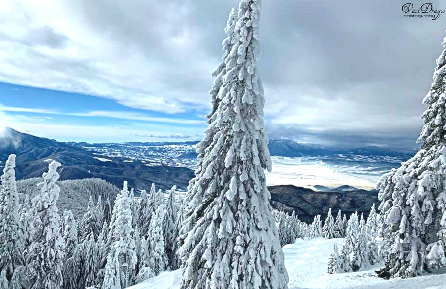 Blanket Of Snow by VDragosPhotography on DeviantArt