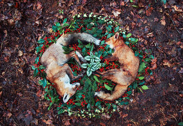 Circle of Balance by Maquenda