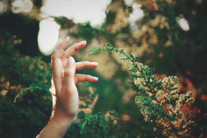 timid touch by Lilibloody