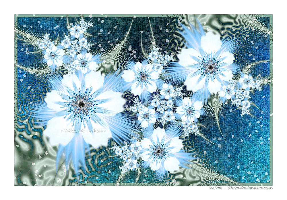 Winter by Velvet--Glove