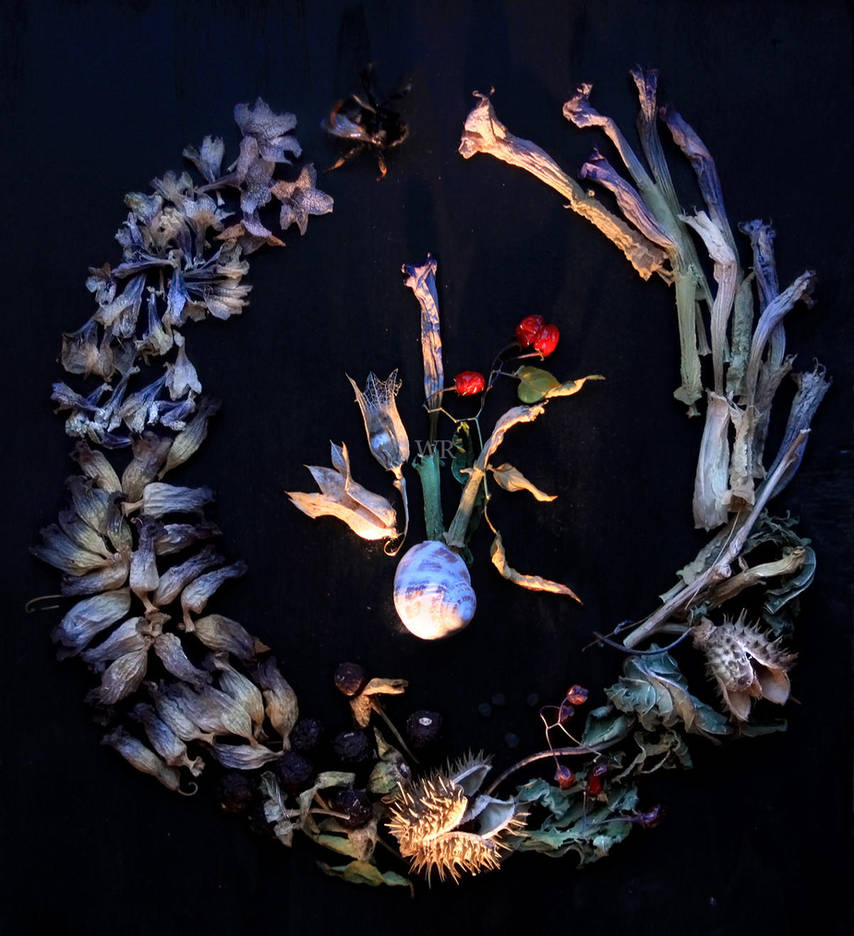 Nightshade Circle by wiebkerost