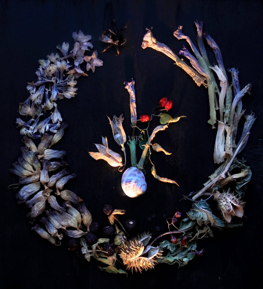Nightshade Circle by wiebkerost