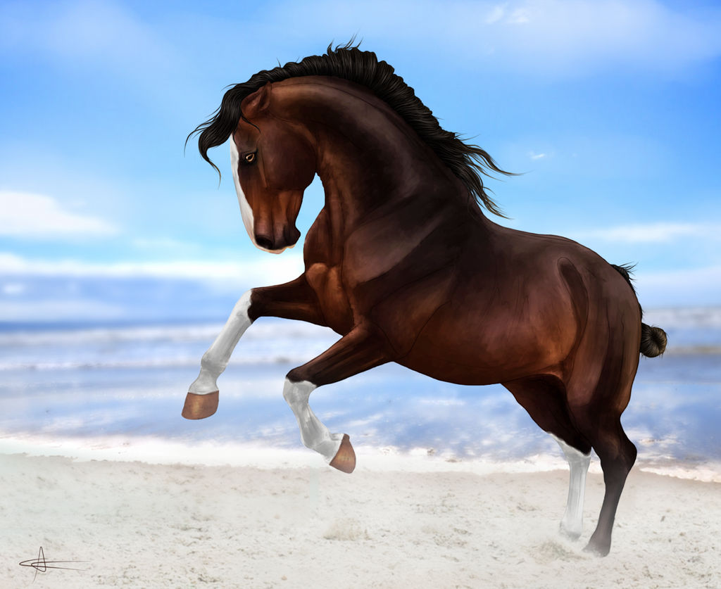 SWS Legacy's Conquistador by CalyArt