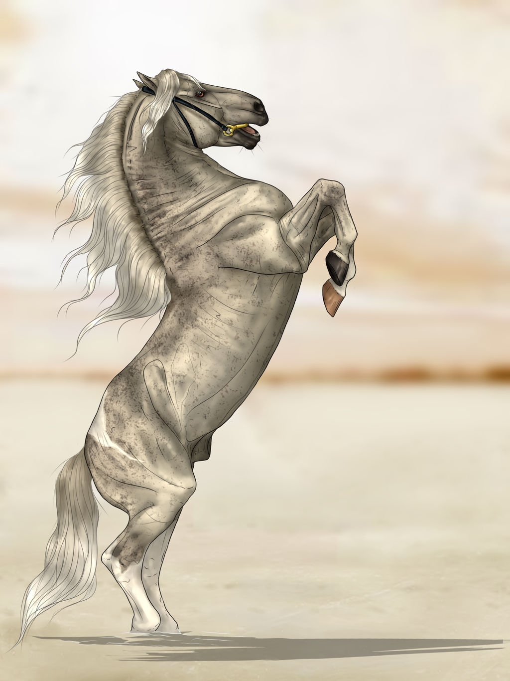 SWS Impetuoso by CalyArt