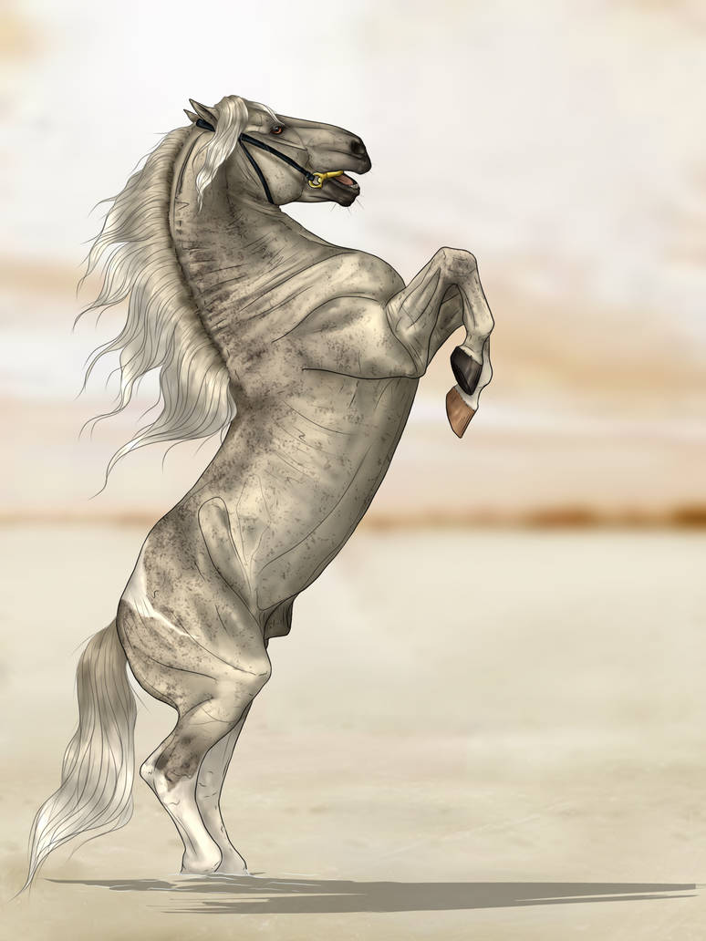 SWS Impetuoso by CalyArt