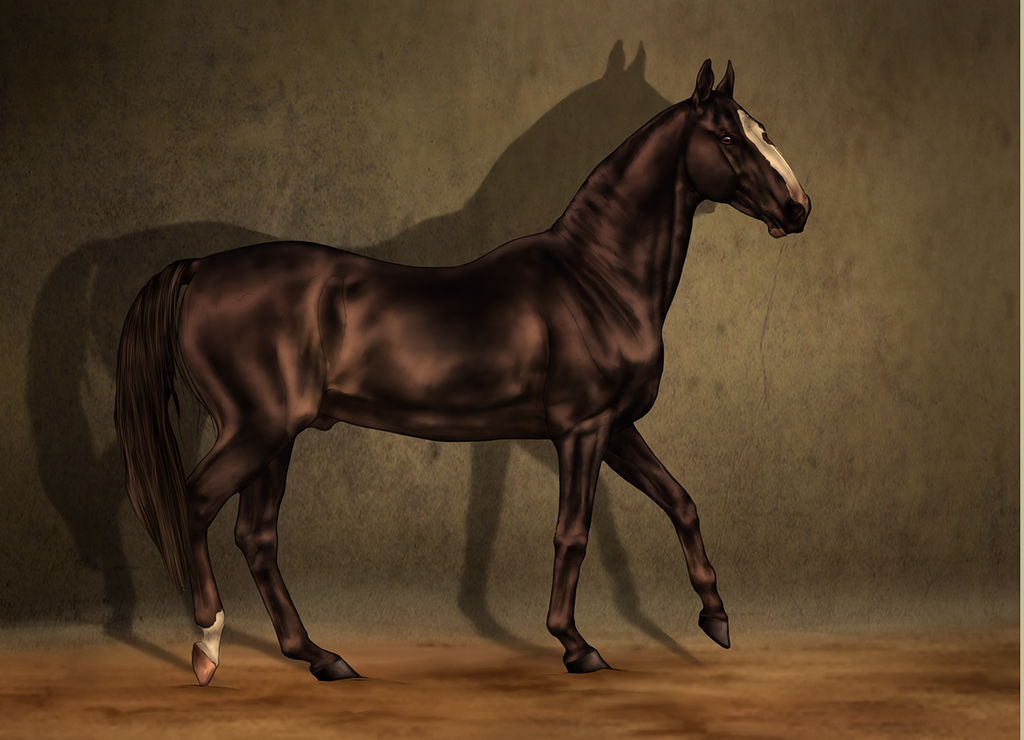 SWS Zair Shael by CalyArt