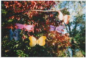 fairytale wonderland by bl0emetjE