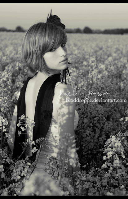 Time for summer dreams by Aoi-kochou