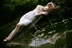 Dead swan by Luthiae