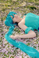 Dreaming Under Cherry Blossoms by Cytanin