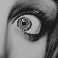 Horror movies by stardixa