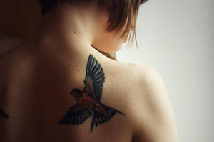 dereza_2 by soapy--H2O