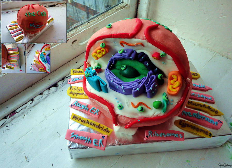 biology_cell_cake_by_nicolewilliam_d32y0