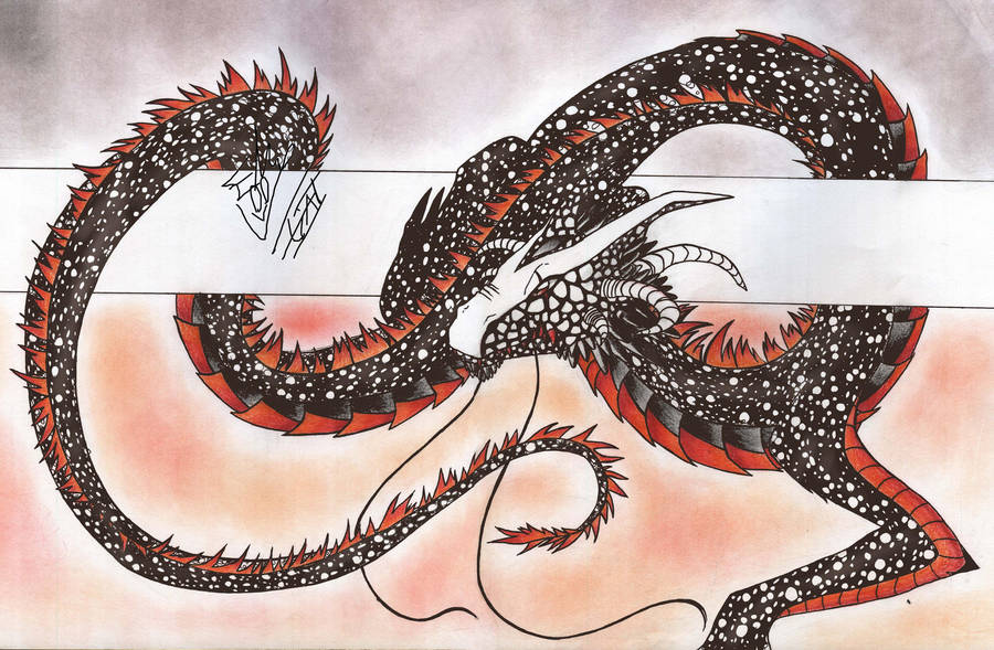 Dragon by RUN-StreetArt