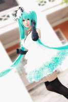 Vocaloid Camellia - Miku by Xeno-Photography