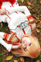 Sword Art Online - Asuna by Xeno-Photography