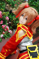 Sword Art Online - Silica by Xeno-Photography