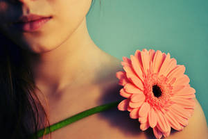 let the flower talk 2 by LinkyQ