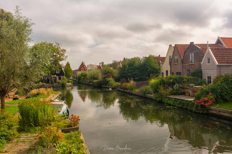 Edam by DorianOrendain