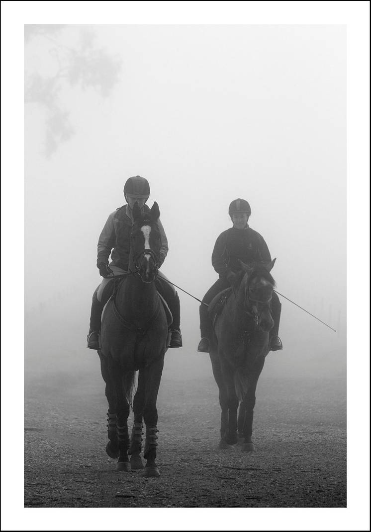 Mist and Mystique by Goanna-Equine