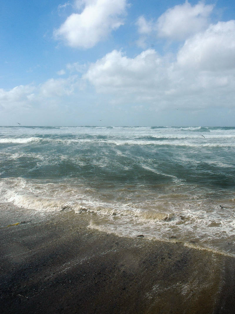 windy day 6 by LucieG-Stock