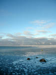 Morning mist on the ocean by LucieG-Stock