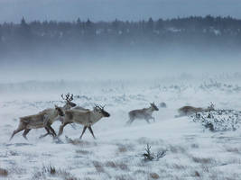 Still charging by LucieG-Stock