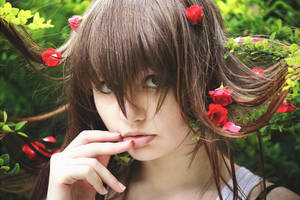 Wonderland by Vitrage