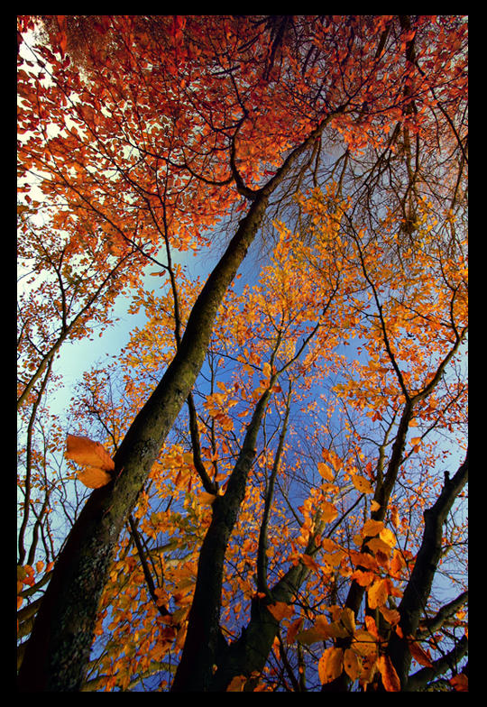 Demeure d'automne by ctrc