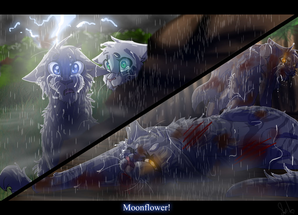 Moonflower's Death (Warrior Cats) by WarriorCat3042 on DeviantArt