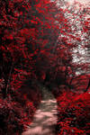 Into the Bloodred Forest by Aenea-Jones