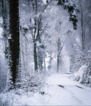Eternal Winter by Aenea-Jones