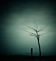 eddklkj by cllozdemir