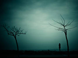 iki agacg by cllozdemir