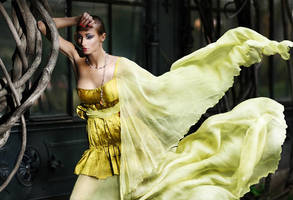 Creative Dreams II by IvAngel