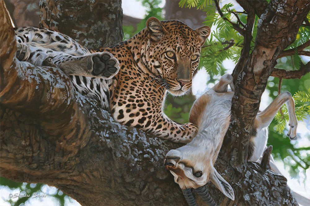 Mwindaji (Swahili for The Hunter) by ShaleseSands