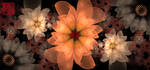 flowers by fractist