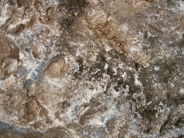 JJames Rock Texture 3 by JWJjjoj