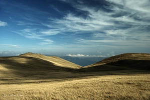 Lost for words by my-eyes-your-windows