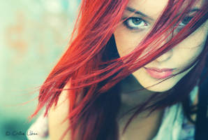 Poison by my-eyes-your-windows