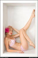 Sparrow, inside the box III by Keradwc