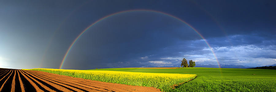 Double Rainbow by samuelbitton