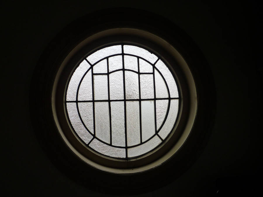 Window by Meow-Stock