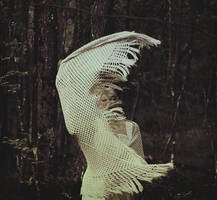 Danse Laine by Leona-Snow